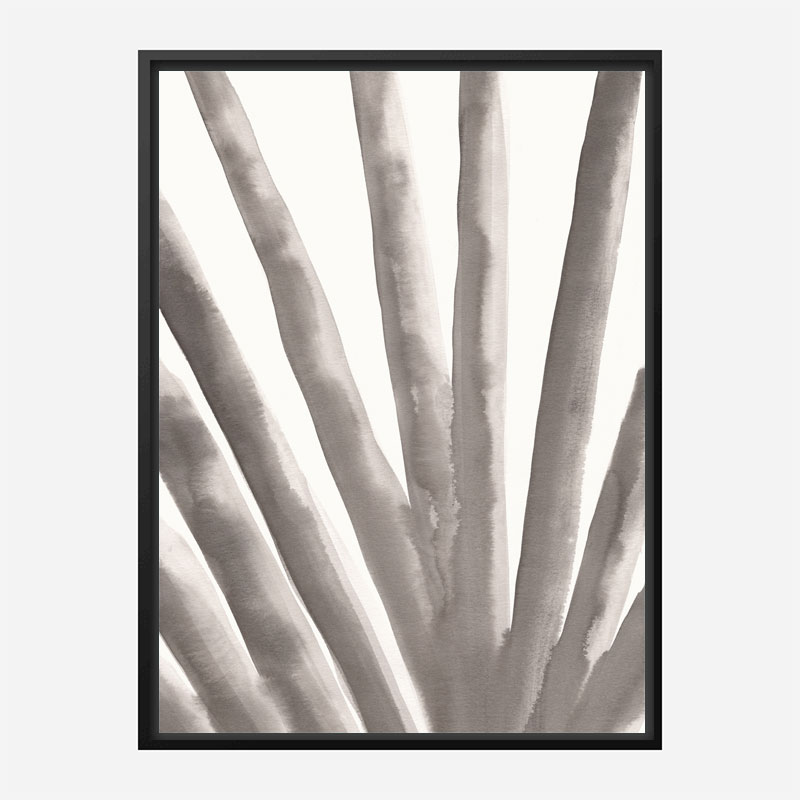 Aloe Vera Wall Art Print