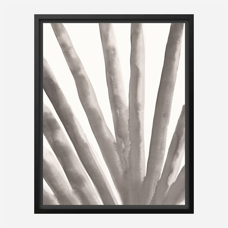 Aloe Vera Wall Art Print