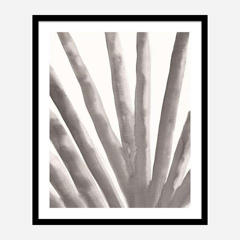 Aloe Vera Wall Art Print