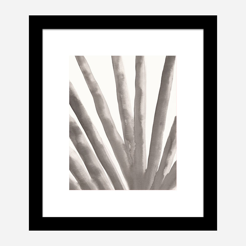 Aloe Vera Wall Art Print