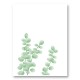 Branches Wall Art Print