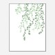 Birch Tree Wall Art Print