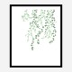 Birch Tree Wall Art Print