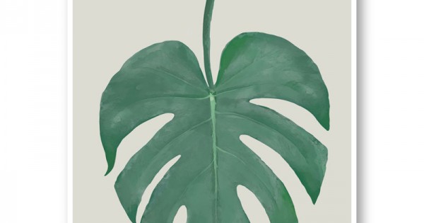 Monstera Aqua 05 Wall Art Print