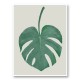 Monstera Aqua 05 Wall Art Print