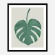 Monstera Aqua 05 Wall Art Print Monstera Aqua 05 Wall Art Print
