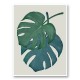 Monstera Aqua 06 Wall Art Print