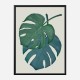 Monstera Aqua 06 Wall Art Print