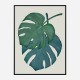 Monstera Aqua 06 Wall Art Print