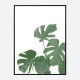 Monstera Aqua 04 Wall Art Print