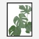 Monstera Aqua 03 Wall Art Print