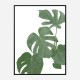 Monstera Aqua 03 Wall Art Print