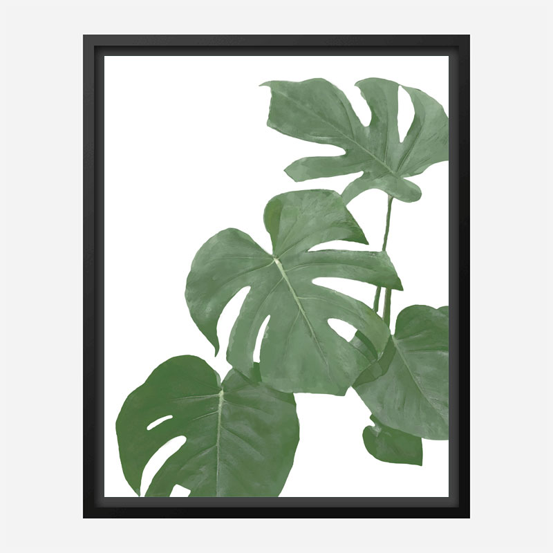 Monstera Aqua 03 Wall Art Print