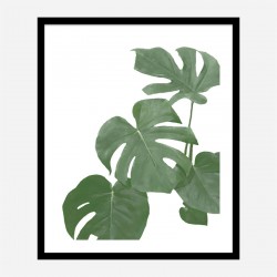 Monstera Aqua 03 Wall Art Print