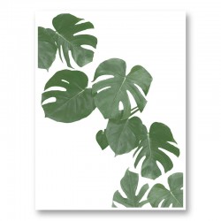 Monstera Aqua 02 Wall Art Print