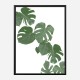 Monstera Aqua 02 Wall Art Print