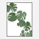 Monstera Aqua 02 Wall Art Print