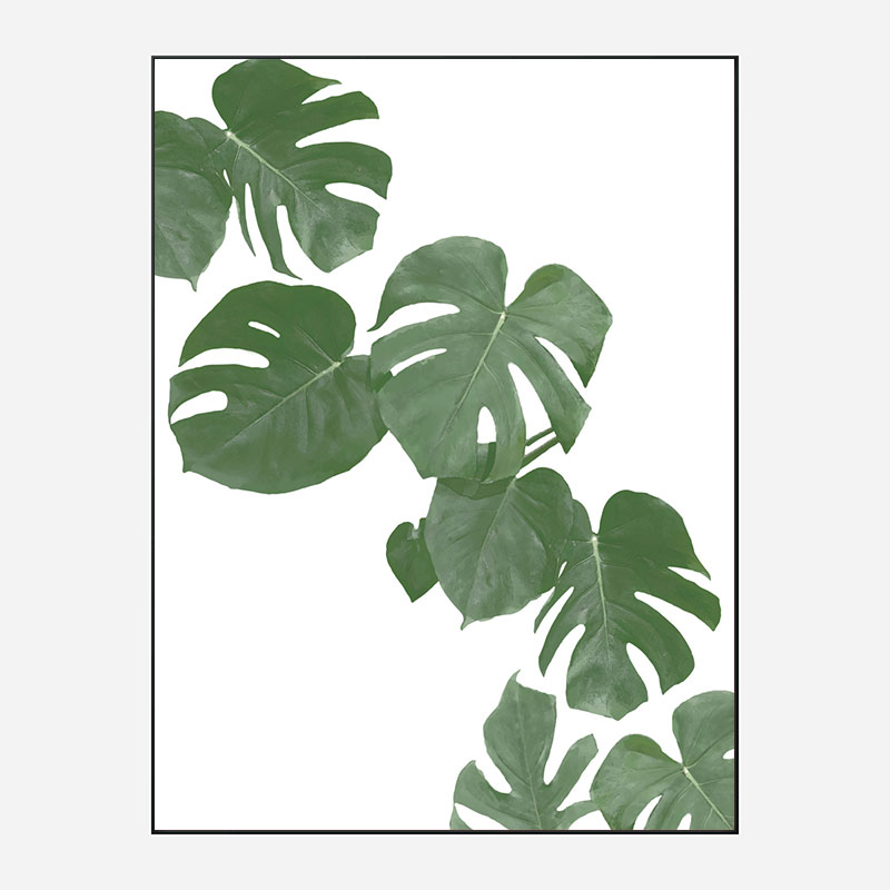 Monstera Aqua 02 Wall Art Print