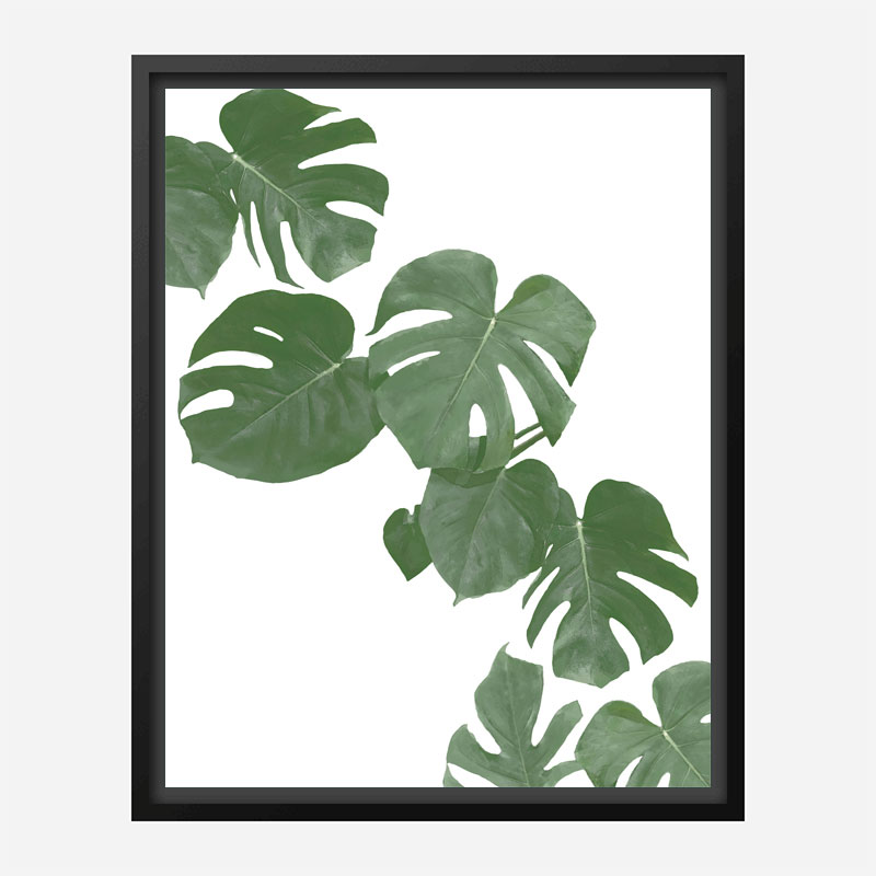 Monstera Aqua 02 Wall Art Print