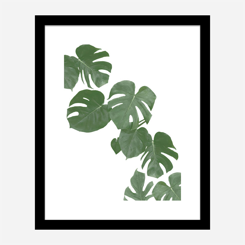 Monstera Aqua 02 Wall Art Print Monstera Aqua 02 Wall Art Print