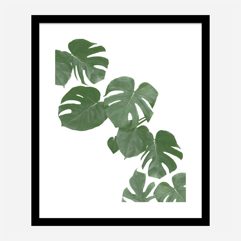 Monstera Aqua 02 Wall Art Print