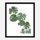 Monstera Aqua 02 Wall Art Print Monstera Aqua 02 Wall Art Print