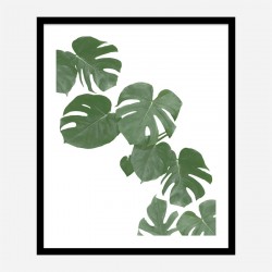 Monstera Aqua 02 Wall Art Print