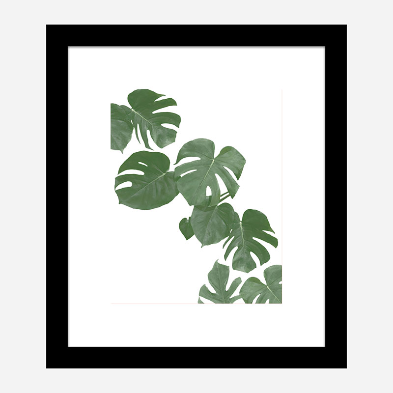 Monstera Aqua 02 Wall Art Print