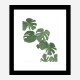 Monstera Aqua 02 Wall Art Print Monstera Aqua 02 Wall Art Print