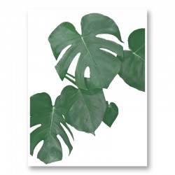 Monstera Aqua 01 Wall Art Print