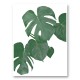 Monstera Aqua 01 Wall Art Print Monstera Aqua 01 Wall Art Print