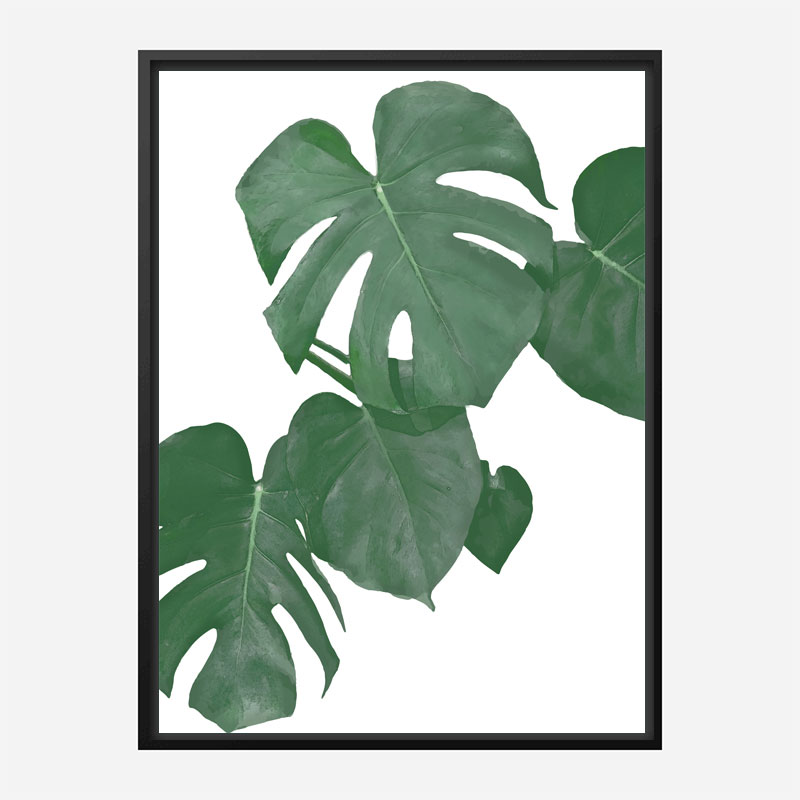 Monstera Aqua 01 Wall Art Print