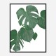 Monstera Aqua 01 Wall Art Print Monstera Aqua 01 Wall Art Print
