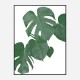 Monstera Aqua 01 Wall Art Print Monstera Aqua 01 Wall Art Print