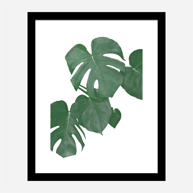 Monstera Aqua 01 Wall Art Print