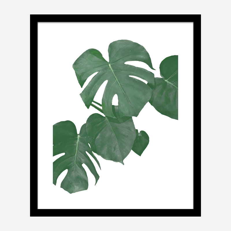 Monstera Aqua 01 Wall Art Print