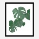 Monstera Aqua 01 Wall Art Print