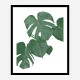 Monstera Aqua 01 Wall Art Print