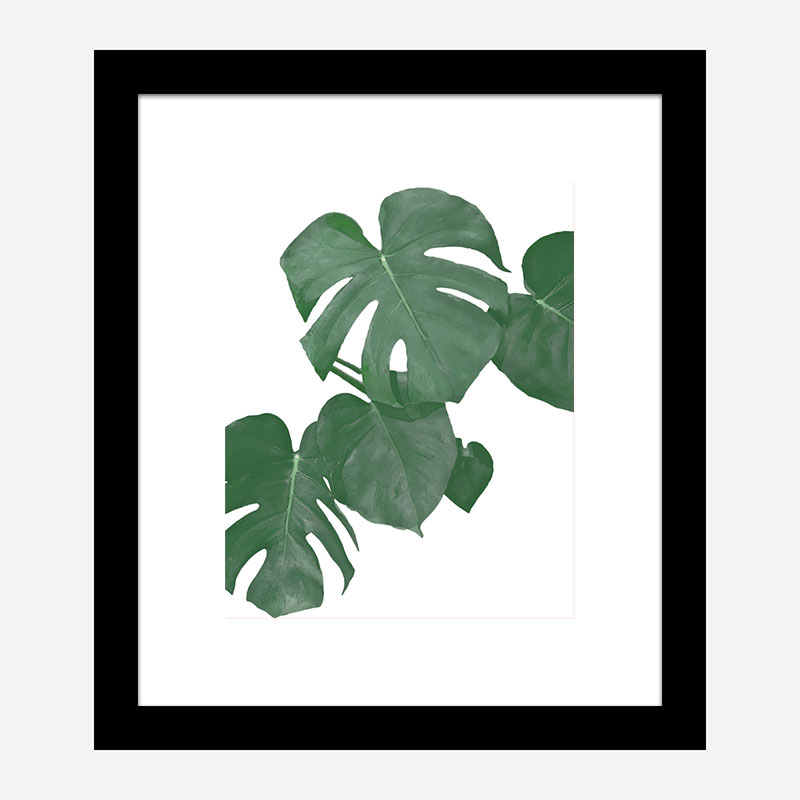 Monstera Aqua 01 Wall Art Print