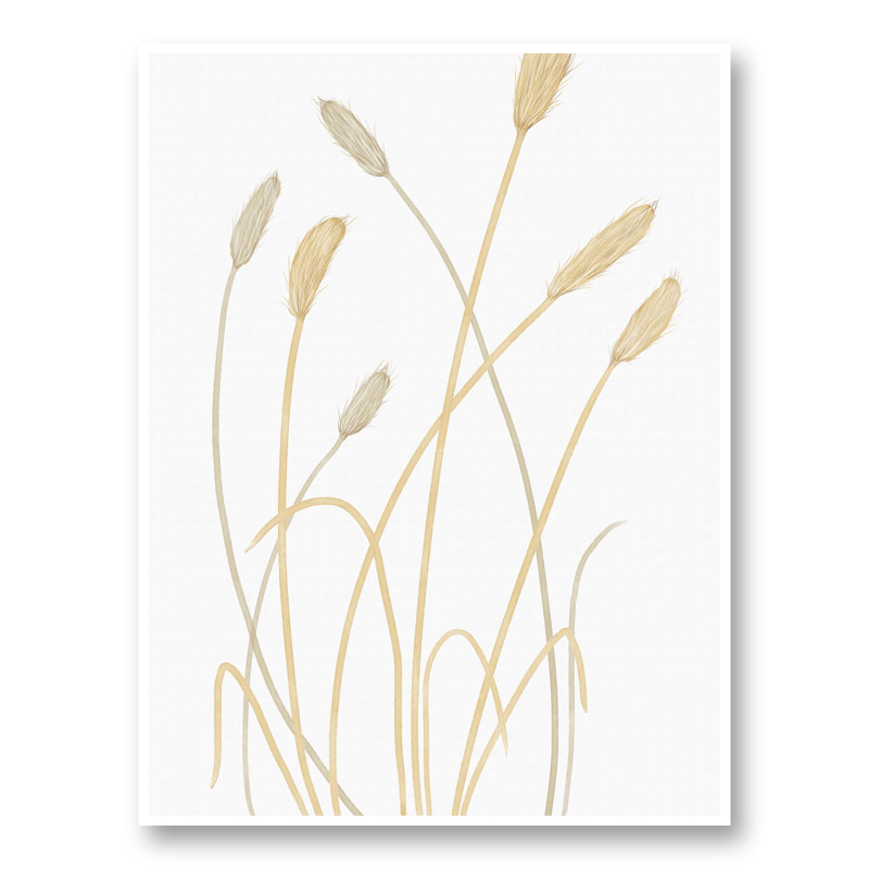 Bunny Grass 1 Wall Art Print