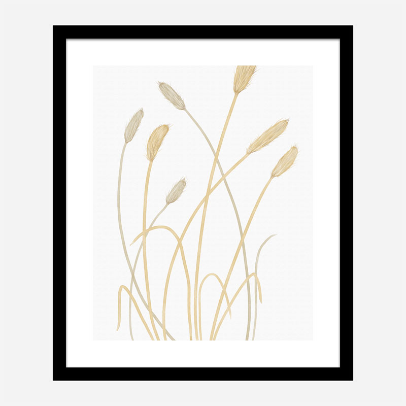 Bunny Grass 1 Wall Art Print Bunny Grass 1 Wall Art Print