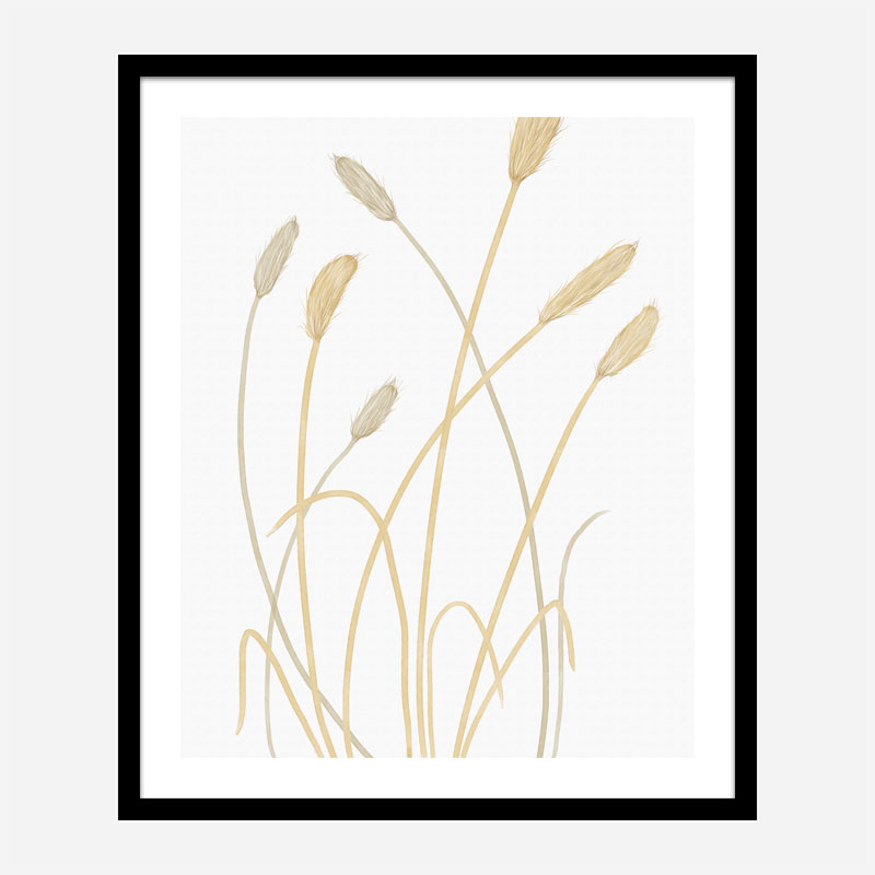 Bunny Grass 1 Wall Art Print Bunny Grass 1 Wall Art Print