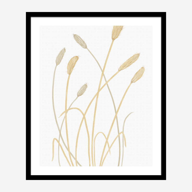 Bunny Grass 1 Wall Art Print