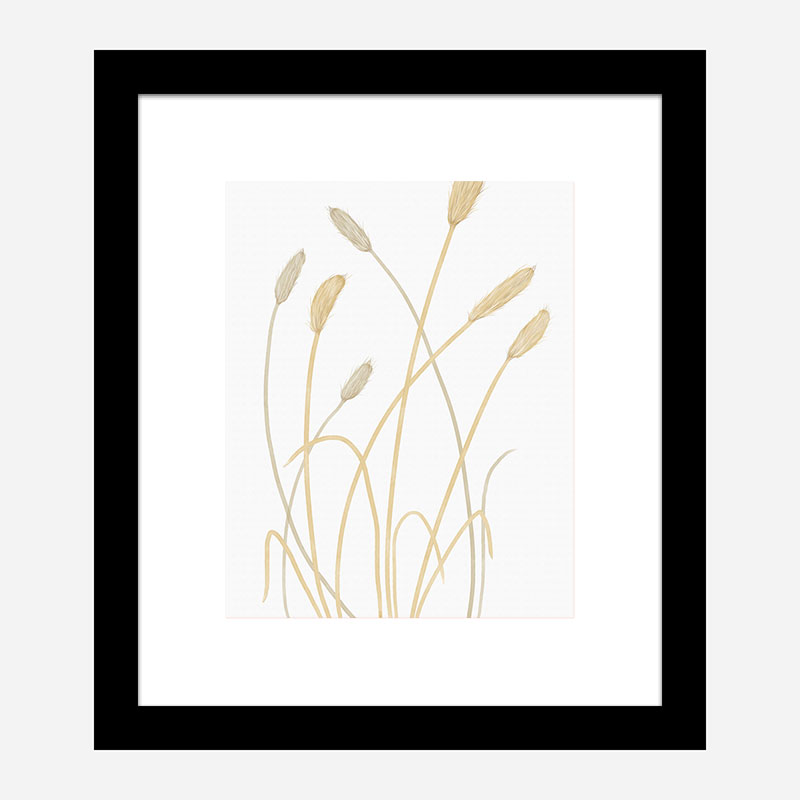 Bunny Grass 1 Wall Art Print