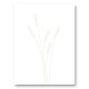 Wheat Grass Wall Art Print