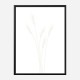 Wheat Grass Wall Art Print Wheat Grass Wall Art Print