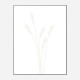 Wheat Grass Wall Art Print Wheat Grass Wall Art Print