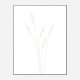 Wheat Grass Wall Art Print