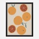 Blood Orange Wall Art Print