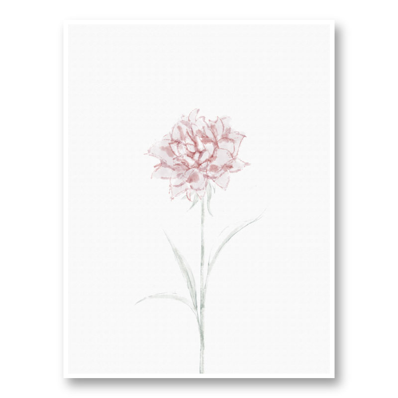 Peony 2 Wall Art Print